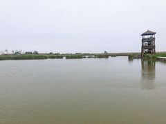-盐城丹顶鹤湿地生态旅游区