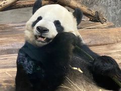 -海南热带野生动植物园
