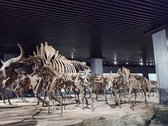 -大庆市博物馆