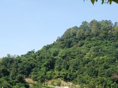 -火炉山森林公园