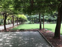 -嘉定紫藤园