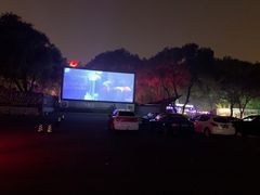 -枫花园汽车电影院(朝阳公园店)