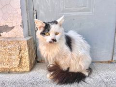 -19号私房菜(云南路店)