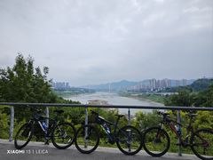 -金海湾滨江公园
