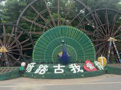 -呀路古热带植物园