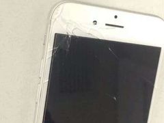 -Apple Store苹果手机电脑售后维修中心(浦东店)