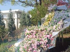 -上海鲜花港