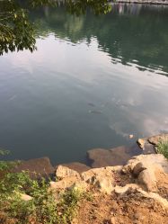 -珍珠泉水上世界