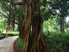 -白沙门生态公园