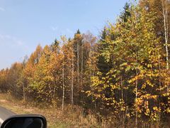 -五营红松林海景区