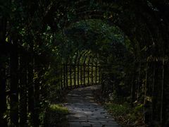 -南沙蒲洲花园