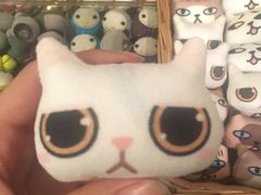 -猫咪博物馆(顶澳仔猫街店)