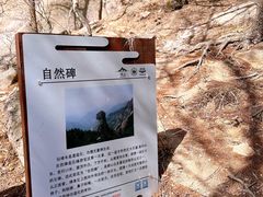 -崂山巨峰游览区