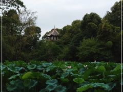 -成都杜甫草堂博物馆
