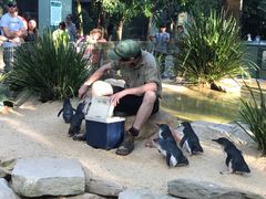 -费瑟代尔野生动物园