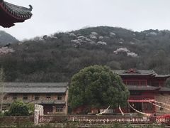 -木兰云雾山