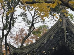 -秋霞圃