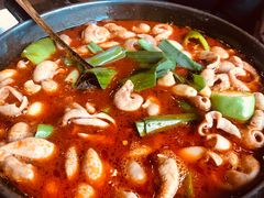 湘味肥肠火锅-湘肠香火锅店(团结湖店)