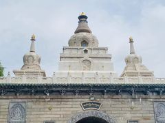 -塔尔寺菩提树