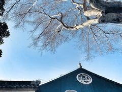-东山雕花楼