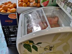 -鲜丰水果(九洲新世界花苑店)