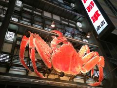 -蟹料理 北海道かに将軍(札幌本店)