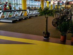 -天行健身＆天行拳馆跆拳道·格斗TXGYM