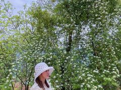 -舒家湾天主教堂