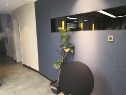 -BOF HAIR BY HONTO