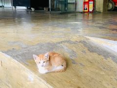 -喜洲吧·江畔老船厂·庭院餐厅(喜临院店)