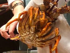 -小山日本料理(兴业太古汇店)