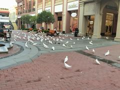 -王府井奥莱临潼小镇(临潼店)