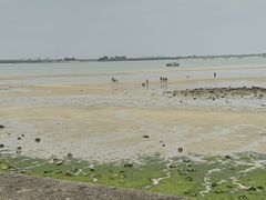 -北海金海湾红树林生态旅游区