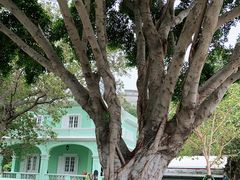 -龙环葡韵住宅式博物馆