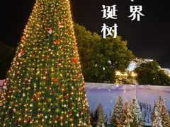 -巨鹏飞梦幻海岸