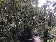 -碧峰峡风景区