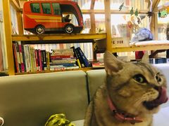 -小时光咖啡馆(开森度假森林店)