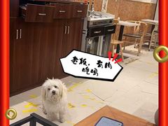 -百年老字号·观振兴蟹黄面·三虾面·苏式面(观前街富仁坊巷店)