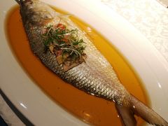 古法秘制蒸鲥鱼-麟1929(外滩店)