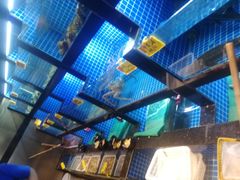 -徽三说·土徽菜·中国徽菜连锁品牌(一中店)