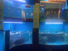 -千岛湖小鱼儿·淳安匠心农家菜