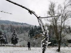 -武陵山森林公园