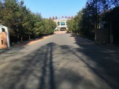 -渡海小渔村.老辈日照菜
