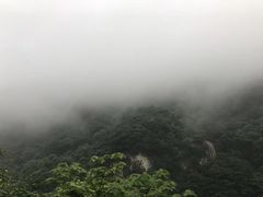 -沣峪口