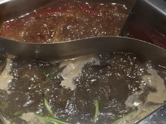 -蜀香居鲜毛肚火锅