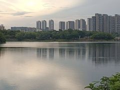 -广东花都湖国家湿地公园