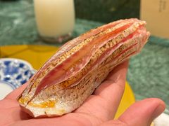 -鮨冠OMAKASE食べ放题(北京首店)