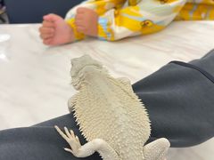 -FAIRYLAND龙族星球主题餐厅(凯丹广场店)