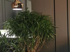 -千家粗粮王(MOMOPARK店)