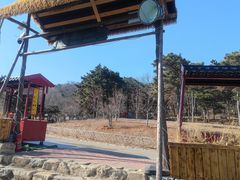 -北京西山国家森林公园